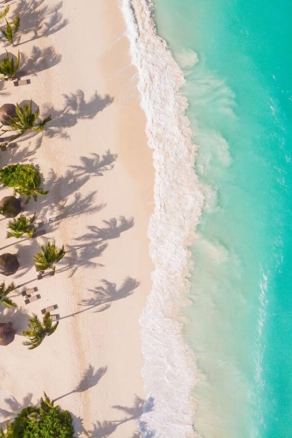 zanzibar